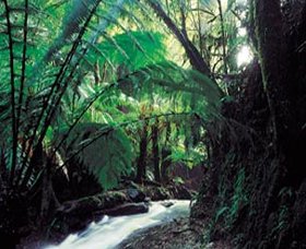 Lavers Hill VIC Accommodation Brisbane