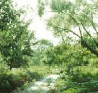 Holey Plains State Park - Accommodation Brisbane