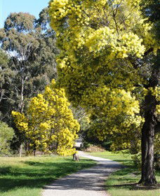Surrey Hills VIC Accommodation Brisbane