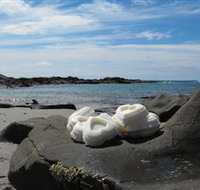 Calma Candles - Accommodation Brisbane