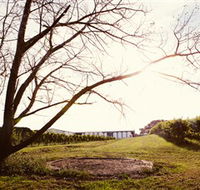 Scotchmans Hill - Accommodation Brisbane