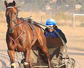 Ballarat & District Trotting Club - Accommodation Brisbane 0