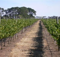 Mount Beckworth Wines - Accommodation Brisbane