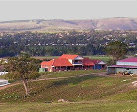 Bacchus Hill Winery - Accommodation Brisbane 0