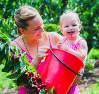 Cherryhill Orchards - Accommodation Brisbane