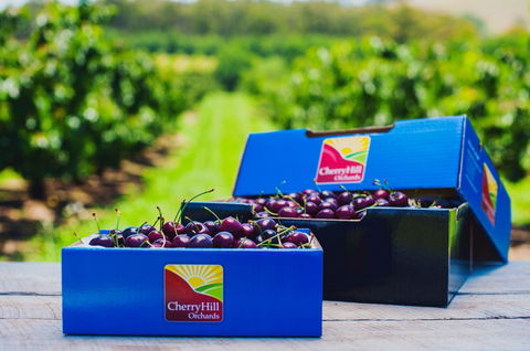 Cherryhill Orchards - Accommodation Brisbane 3