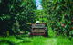 Cherryhill Orchards - thumb 7