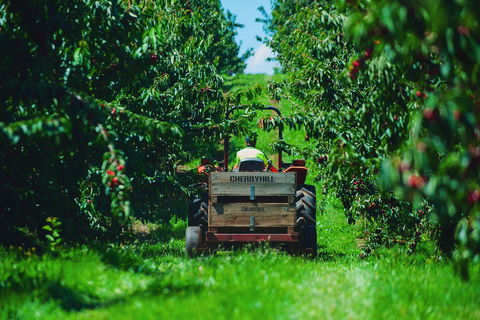 Cherryhill Orchards - Accommodation Brisbane 7