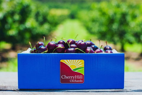 Cherryhill Orchards - Accommodation Brisbane 8