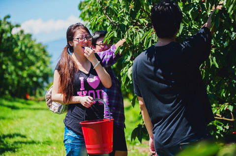 Cherryhill Orchards - Accommodation Brisbane 9