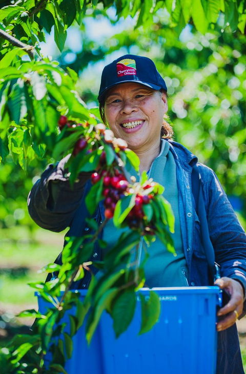 Cherryhill Orchards - Accommodation Brisbane 11