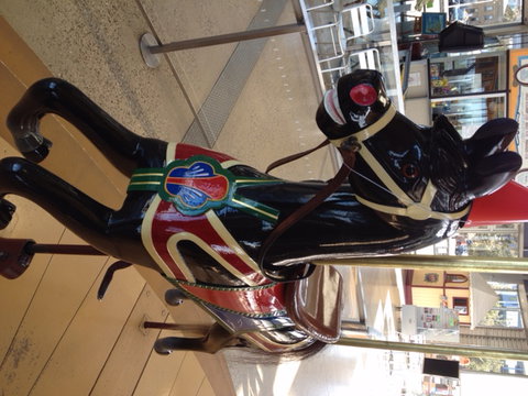 The Carousel - Accommodation Brisbane 4