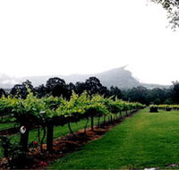Cambewarra Estate Wines - Accommodation Brisbane