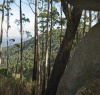 Gulaga National Park - Accommodation Brisbane