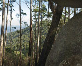 Gulaga National Park - Accommodation Brisbane 0