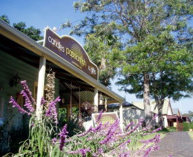Passionfish Candles - Accommodation Brisbane 0