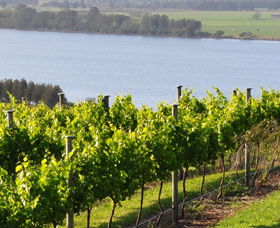 Two Figs Winery - Accommodation Brisbane 0
