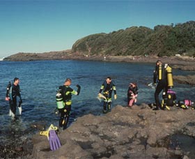 Bushrangers Bay Aquatic Reserve - Accommodation Brisbane 0