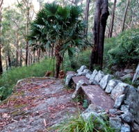 Wodi Wodi Walking Track - Accommodation Brisbane