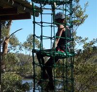 Trees Adventure Shoalhaven - Accommodation Brisbane