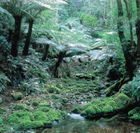 Deua National Park - Accommodation Brisbane