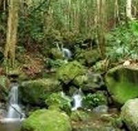 Budderoo National Park - Accommodation Brisbane