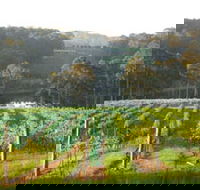 Tilba Valley Wines - Accommodation Brisbane