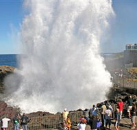 Kiama Blowhole - Accommodation Brisbane