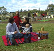 Blackbutt Forest Reserve - Accommodation Brisbane