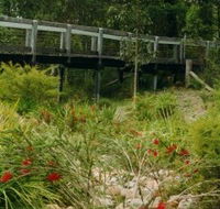 Eurobodalla Botanic Gardens - Accommodation Brisbane