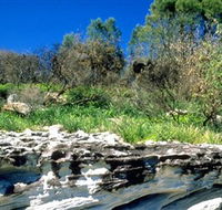 Abrahams Bosom Reserve - Accommodation Brisbane