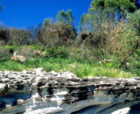 Abrahams Bosom Reserve - Accommodation Brisbane 0