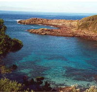 Bass Point Reserve - Accommodation Brisbane