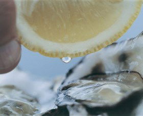 Pearly Oyster Bar And Farm - Accommodation Brisbane 0