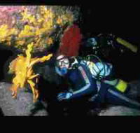 Solitary Islands Marine Park - Accommodation Brisbane