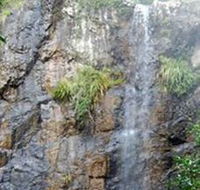 Wedding Bells Forest Drive - Accommodation Brisbane