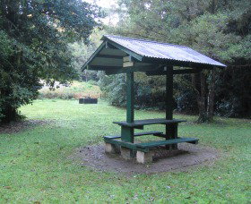 Pine Creek State Forest - Accommodation Brisbane 0