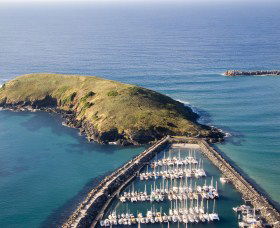 Muttonbird Island Nature Reserve - Accommodation Brisbane 0