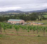 Villa d Esta Vineyard - Accommodation Brisbane