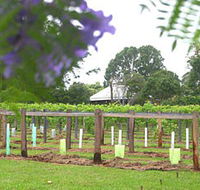 Douglas Vale Historic Homestead  Vineyard - Accommodation Brisbane