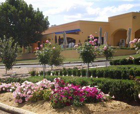 Shaw Vineyard Estate - Accommodation Brisbane 0