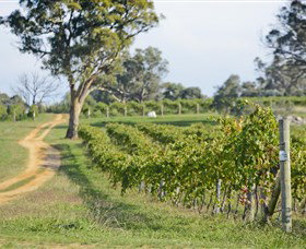 Shaw Vineyard Estate - Accommodation Brisbane 1