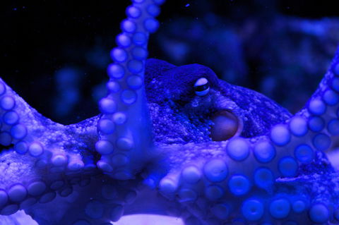Solitary Islands Aquarium - Accommodation Brisbane 2