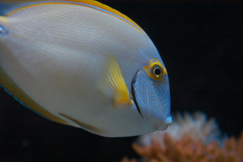 Solitary Islands Aquarium - Accommodation Brisbane 3