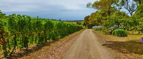 Merricks Estate - Accommodation Brisbane 1