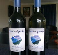 Thunder Ridge Wines - Accommodation Brisbane