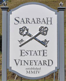 Sarabah Estate Vineyard - Accommodation Brisbane 3