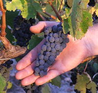 Eagles Rise Wine - Accommodation Brisbane