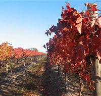 Kooyonga Creek Wines - Accommodation Brisbane