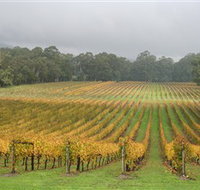 Boat O'Craigo Wines - Accommodation Brisbane